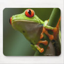 Search for tree frog mousepads Reptiles