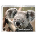 Search for koala calendars Animal