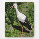 Search for stork electronics White