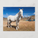 Recherche de latino posters Paysage