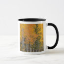 Search for aspen tree mugs Environment