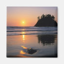 Search for trinidad magnets Tree