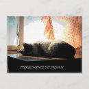 Search for digital postcards Kitty