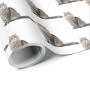 Search for tabby wrapping paper Pet