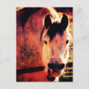 Search for laughing horse postcards Photography