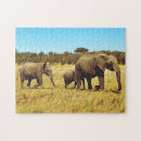 Search for elephant family puzzles Travel