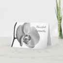 Search for white orchids cards Black and white