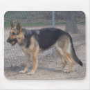 Search for german shepherd mousepads Nature