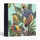Search for large binders Tropical