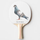 Recherche de pigeon tennis de table Oiseau