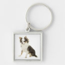 Search for chihuahua keychains Chiwawa