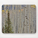 Search for danita delimont mousepads Forest