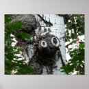 Search for tree face posters Trees