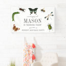 Search for dragonfly signs Insect