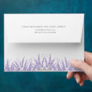 Search for lavender envelopes Script