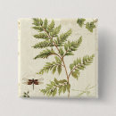 Recherche de fougère badges Vert