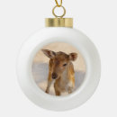 Search for deer antlers ornaments Wildlife