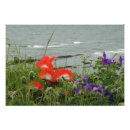Recherche de nature sauvage posters Mer