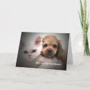 Recherche de velu vœux cartes Animal familier