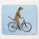 Search for antique bicycle electronics Flower leaves
