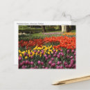 Recherche de keukenhof cartes postales Jardin