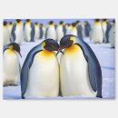 Search for affecting magnets Affection