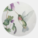 Search for hummingbird and flower stickers Pink