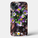 Search for arid ipad cases Danita delimont