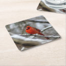Search for cardinal coasters Birding