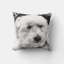 Recherche de bichon décoration coussins Mignon