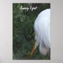 Search for egrets posters Snowy egret