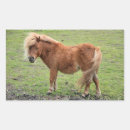 Search for horse pictures stickers Animals