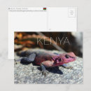 Search for masai mara postcards Wildlife