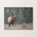 Recherche de elk puzzles Animal