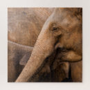 Search for wildlife puzzles Travel