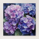 Search for hydrangea puzzles Botanical