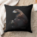 Recherche de aigle noir coussins Rapaces
