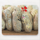 Search for nutty electronics Cute
