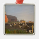 Search for cattle ornaments Midwest