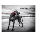 Recherche de dog posters Noir et blanc