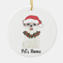 Search for shih tzu ornaments White