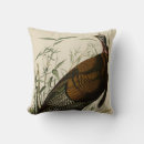 Search for turkey pillows Illustration