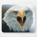 Search for bald eagle mousepads Nature