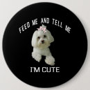 Search for funny dog quotes buttons Pet