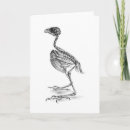 Search for bird skull cards Skeleton