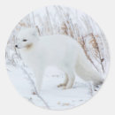 Recherche de carnivore autocollants Horizontal
