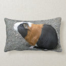 Search for guinea pig pillows Rodent