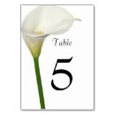 Search for lily table cards Simple