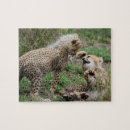 Recherche de guépard puzzles Mignon