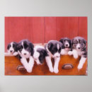 Search for border collie painting posters Puppy